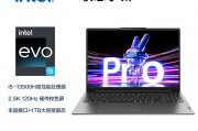 联想（lenovo）小新pro16和联想笔记本电脑 高性能12代酷睿i5 16英寸轻薄商务办公学生设计师游戏本 2.5k高清  i5-12500h 16g 1tb 高速固态 精装升级 锐矩显卡  背光键盘 人脸识别对哪个给予更高的评价？性能稳定性方面区别在哪里？